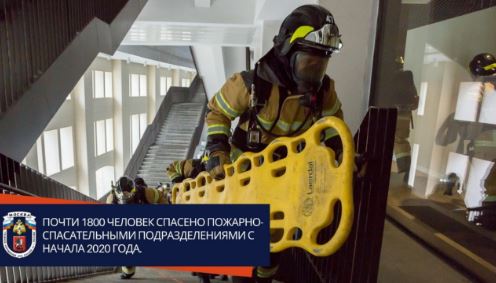 ����� 1800 ������� ������� �������-������������� ��������������� � ������ 2020 ����