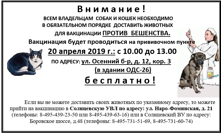 ���������� �������� ��������