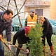 Префект центрального округа принял участие в рассадке новых деревьев города Префект центрального округа принял участие в рассадке новых деревьев города