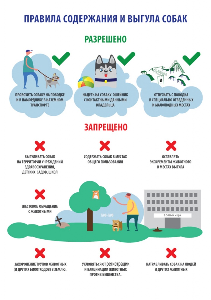 ����������� WhatsApp 2024-05-23 � 11.23.05_0f37aa29.jpg